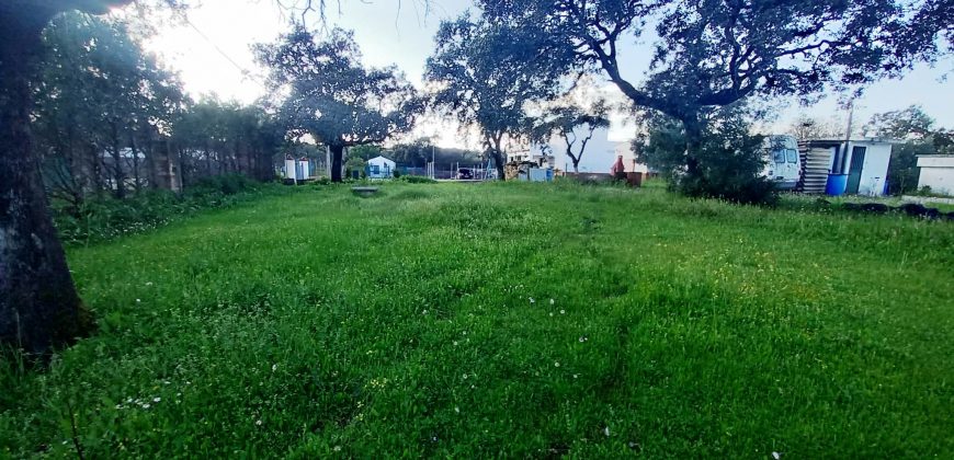 Finca rústica – Castiblanco de los Arroyos