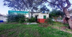 Finca rústica – Castiblanco de los Arroyos