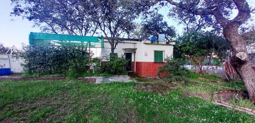 Finca rústica – Castiblanco de los Arroyos