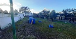 Finca rústica – Castiblanco de los Arroyos