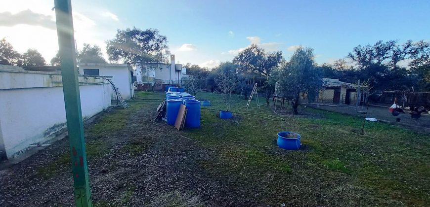 Finca rústica – Castiblanco de los Arroyos