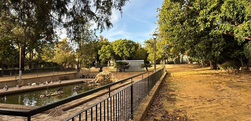 Casa independiente en venta – Zona Parque de la Toya, Trebujena (Cádiz)