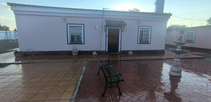 PARCELA EN EL CERVATILLO (MAIRENA DEL ALCOR)