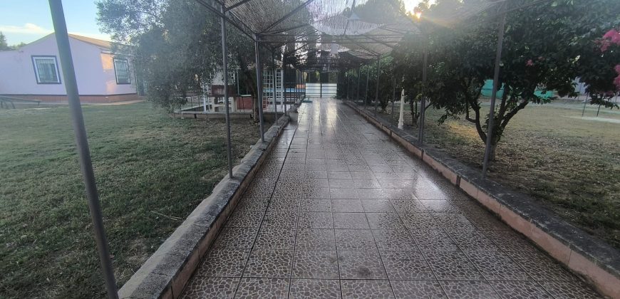 PARCELA EN EL CERVATILLO (MAIRENA DEL ALCOR)