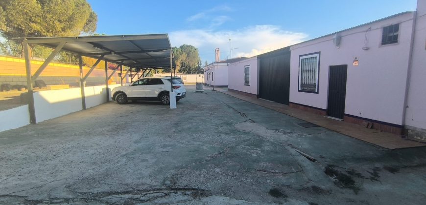 PARCELA EN EL CERVATILLO (MAIRENA DEL ALCOR)