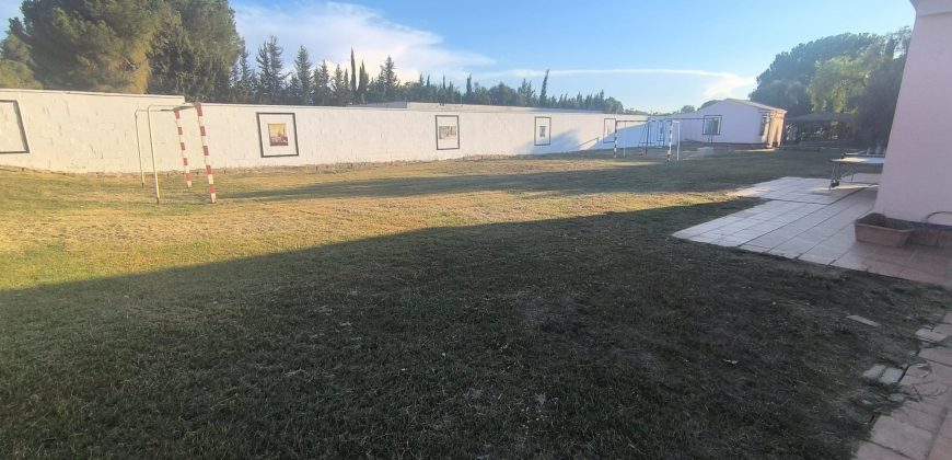 PARCELA EN EL CERVATILLO (MAIRENA DEL ALCOR)