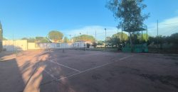 PARCELA EN EL CERVATILLO (MAIRENA DEL ALCOR)