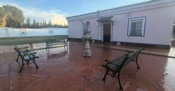 PARCELA EN EL CERVATILLO (MAIRENA DEL ALCOR)