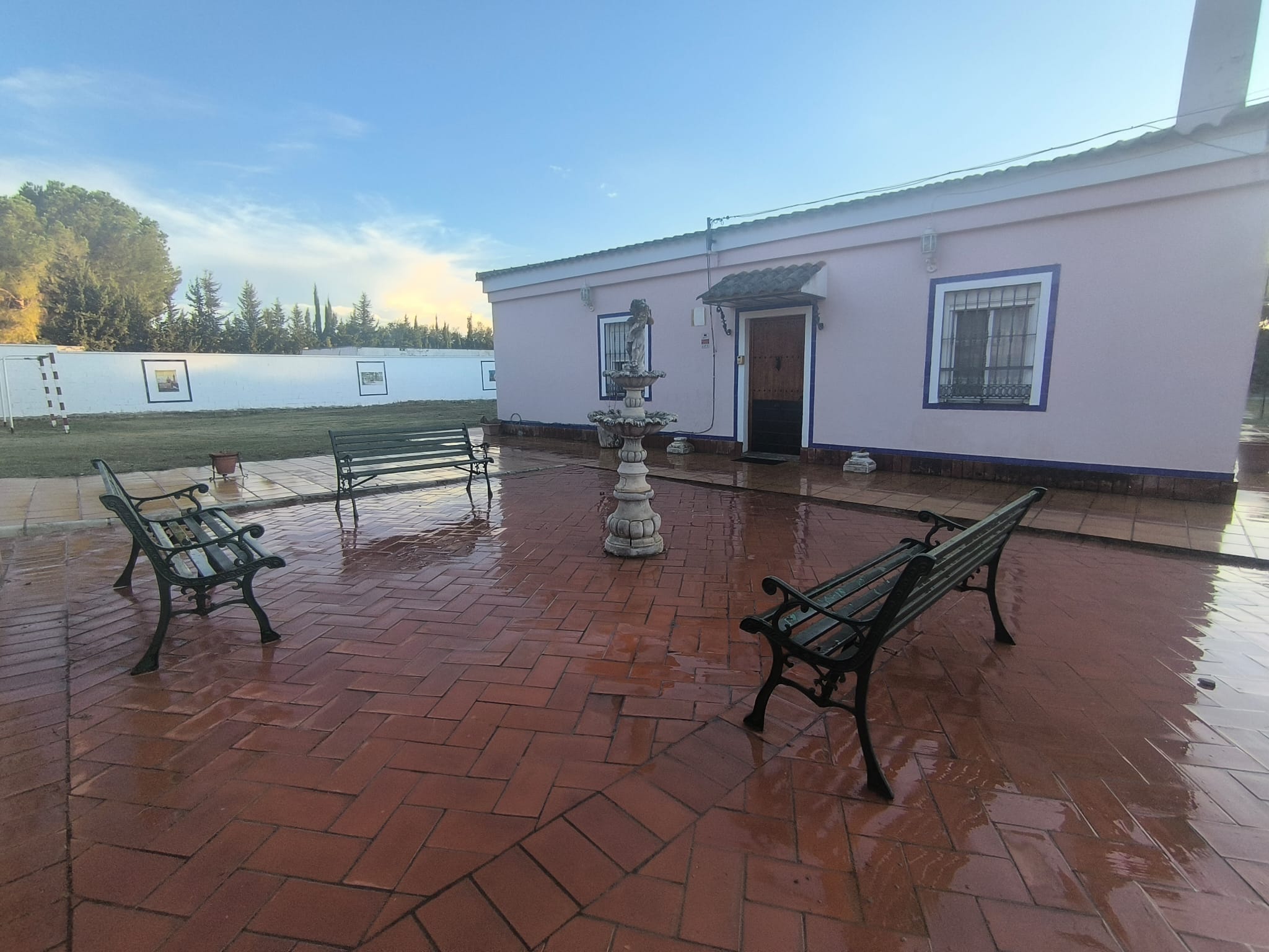 PARCELA EN EL CERVATILLO (MAIRENA DEL ALCOR)