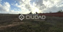 Terreno rústico 2.500m2