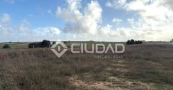 Terreno rústico 2.500m2