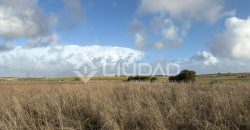 Terreno rústico 2.500m2