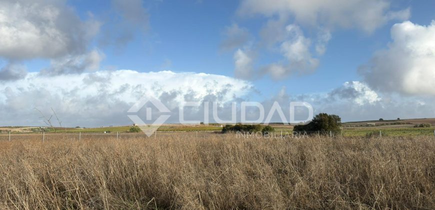 Terreno rústico 2.500m2
