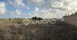 Terreno rústico 2.500m2