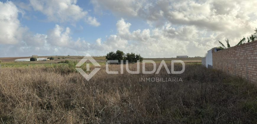 Terreno rústico 2.500m2