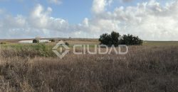 Terreno rústico 2.500m2