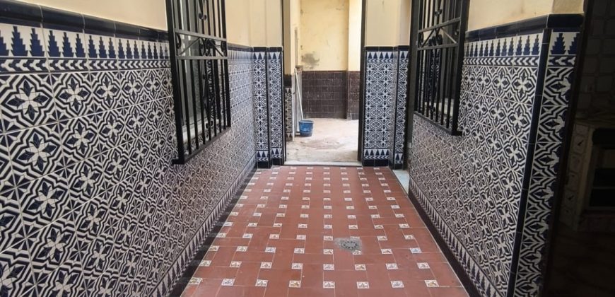 CASA + PISO INDEPENDIENTE EN MAIRENA.