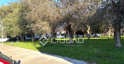 Local en Monteolivete – Los Naranjos