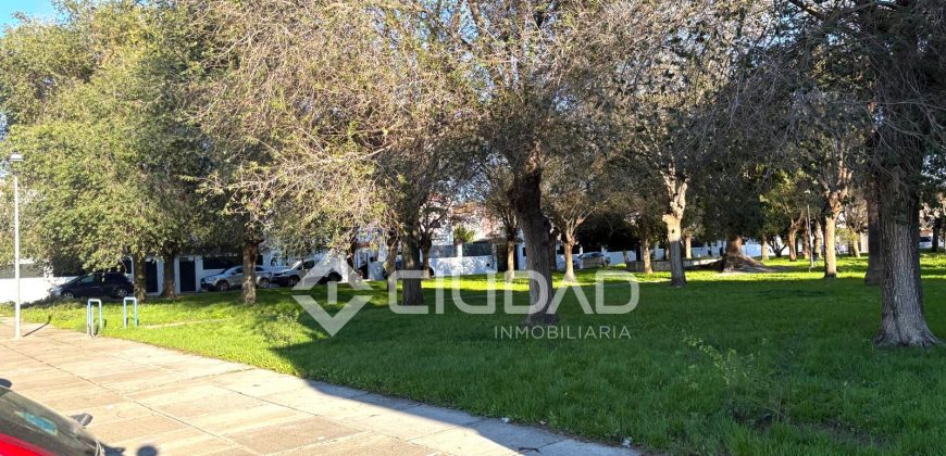 Local en Monteolivete – Los Naranjos