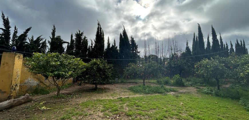 FINCA RUSTICA