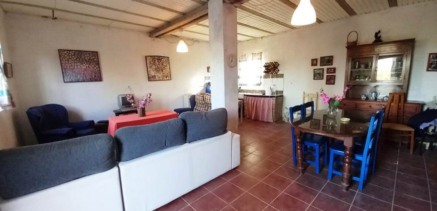 Finca rústica – Pilas