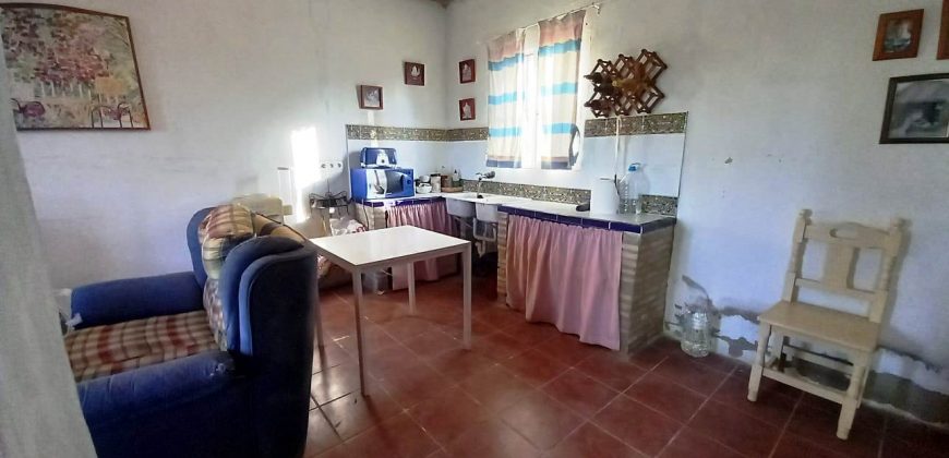 Finca rústica – Pilas