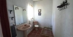 Finca rústica – Pilas