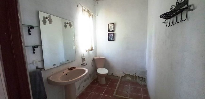 Finca rústica – Pilas