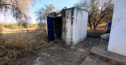 Finca rústica – Pilas