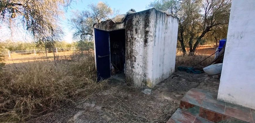 Finca rústica – Pilas