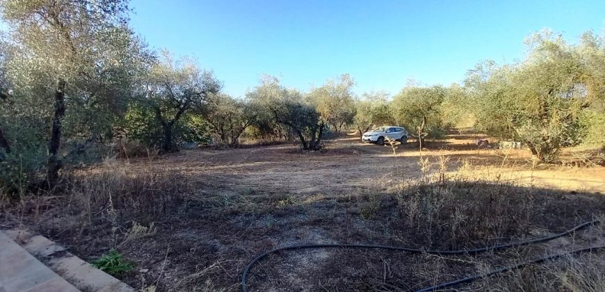 Finca rústica – Pilas