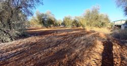 Finca rústica – Pilas