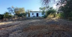 Finca rústica – Pilas