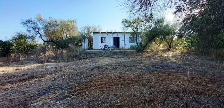 Finca rústica – Pilas