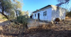 Finca rústica – Pilas