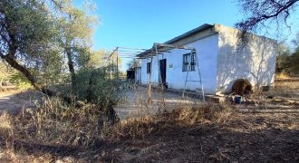 Finca rústica – Pilas