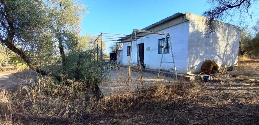 Finca rústica – Pilas