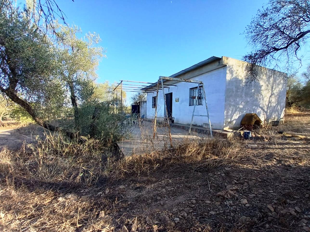 Finca rústica – Pilas