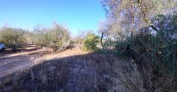 Finca rústica – Pilas