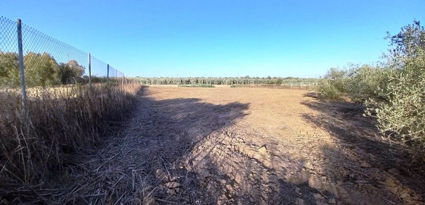 Finca rústica – Pilas