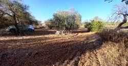 Finca rústica – Pilas