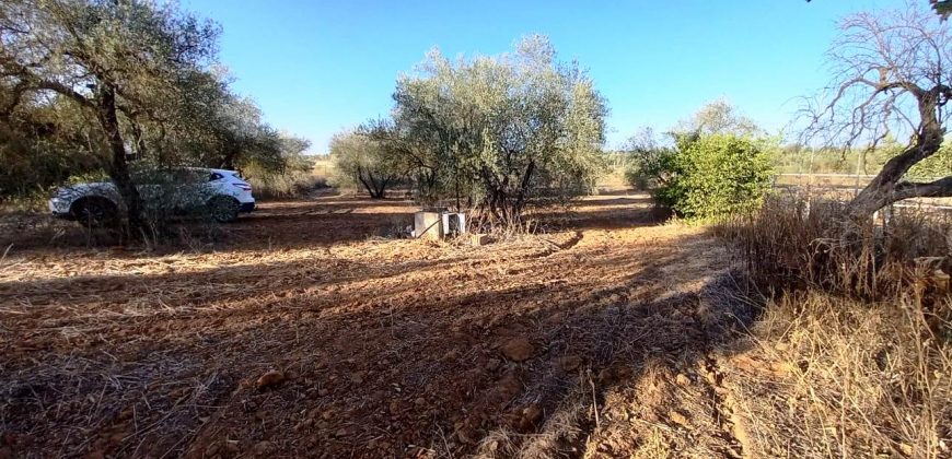 Finca rústica – Pilas