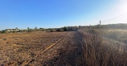 Finca rústica – Pilas