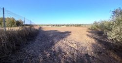 Finca rústica – Pilas