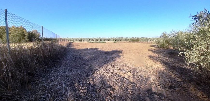 Finca rústica – Pilas