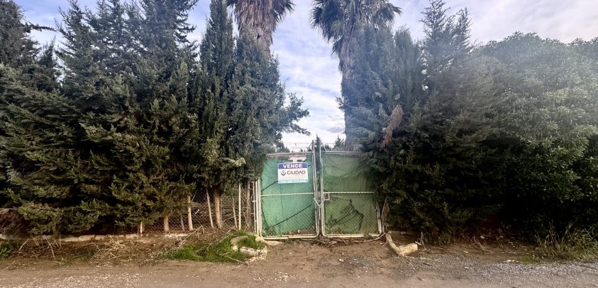 Finca rústica a pie de carretera, situada en el Camino de las Arcas, a la salida de Las Cabezas de San Juan.