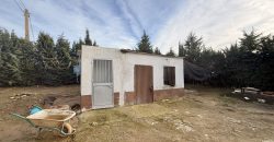 Finca rústica a pie de carretera, situada en el Camino de las Arcas, a la salida de Las Cabezas de San Juan.