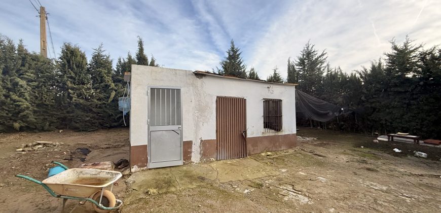 Finca rústica a pie de carretera, situada en el Camino de las Arcas, a la salida de Las Cabezas de San Juan.