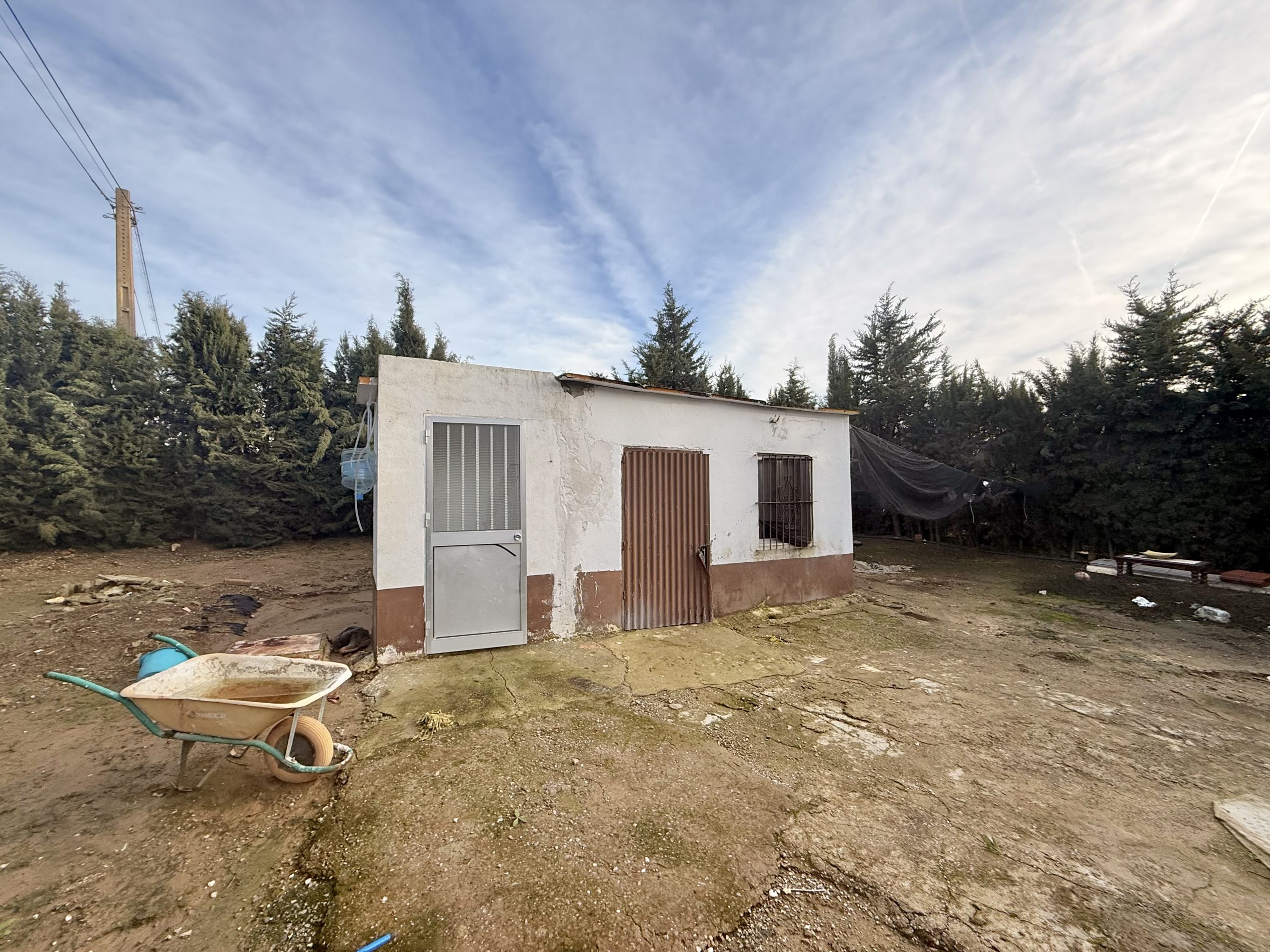 Finca rústica a pie de carretera, situada en el Camino de las Arcas, a la salida de Las Cabezas de San Juan.