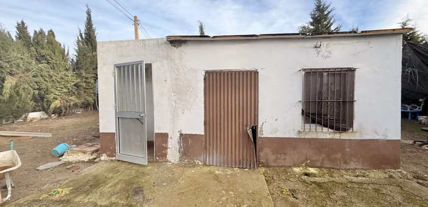 Finca rústica a pie de carretera, situada en el Camino de las Arcas, a la salida de Las Cabezas de San Juan.